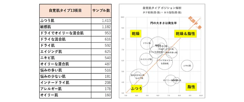 肌タイプ分類のサンプルデータ