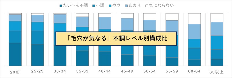 肌悩みを不調度の高低レベルに分けて重点マーケットを探索。毛穴が気になる例