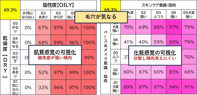 アイピーコーポレーションが開発した可視化ツール（美容悩み4種）は、すべての肌悩みや化粧意識の発生パターンを可視化し、直感的でスムースな分析考察をサポート