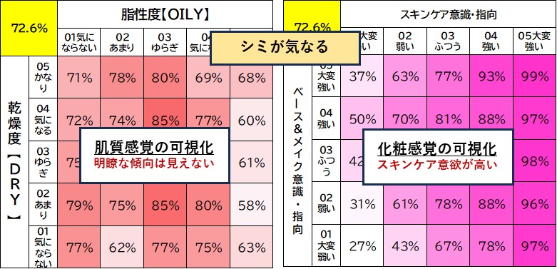 アイピーコーポレーションが開発した可視化ツール（美容悩み4種）は、すべての肌悩みや化粧意識の発生パターンを可視化し、直感的でスムースな分析考察をサポート