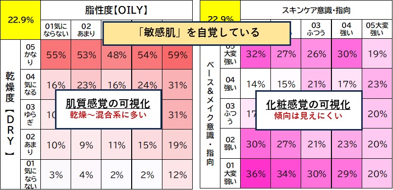 アイピーコーポレーションが開発した可視化ツール（美容悩み4種）は、すべての肌悩みや化粧意識の発生パターンを可視化し、直感的でスムースな分析考察をサポート