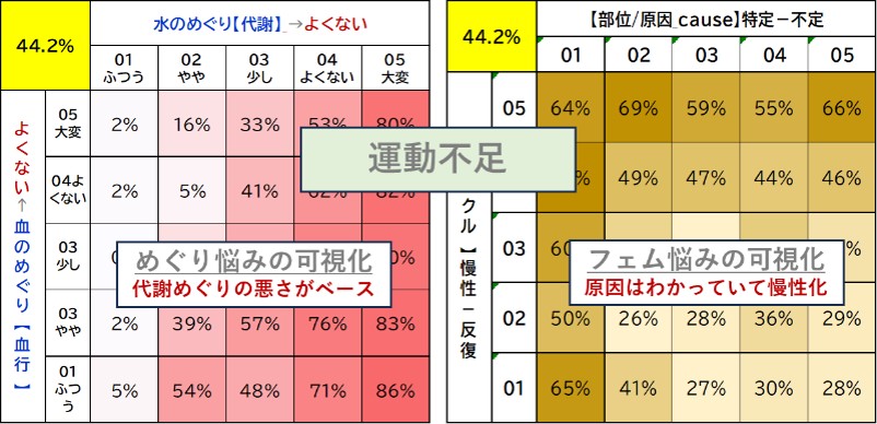 アイピーコーポレーションが開発した健康心理の可視化ツールはカラダ悩みの発生パターンを可視化。例えば運動不足が気になる女性（全体平均44％）の発生率の高低をゾーンごとにヒートマップ表示